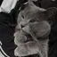 すずのプロフィール画像