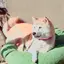 しおのプロフィール画像