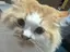 Rのプロフィール画像