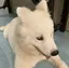 リナのプロフィール画像