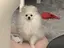 あやかのプロフィール画像