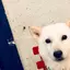 すぎもんのプロフィール画像