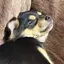 ゆのプロフィール画像