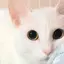綾香のプロフィール画像