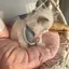 nokiqxのプロフィール画像