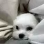 でんぼのプロフィール画像