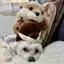 まなみのプロフィール画像