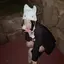 りのプロフィール画像