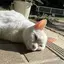 恭平のプロフィール画像