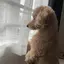 なおきのプロフィール画像