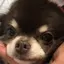 友美のプロフィール画像