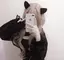りさりさのプロフィール画像
