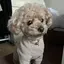 Roiのプロフィール画像