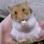 mimimaruのプロフィール画像