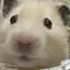 みみみみのプロフィール画像