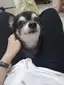 有未のプロフィール画像
