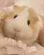 あずのプロフィール画像