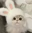 🤍のプロフィール画像