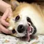 ゆっこ。のプロフィール画像