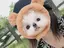 ひー♡のプロフィール画像