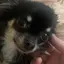 もものプロフィール画像