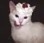 じるのプロフィール画像
