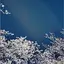 aki34のプロフィール画像