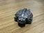 千晴のプロフィール画像