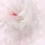 春香のプロフィール画像