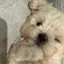 HEE.のプロフィール画像