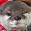 カオチのプロフィール画像