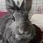 くーちゃんのプロフィール画像