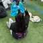 みちゃのプロフィール画像