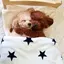 彩のプロフィール画像