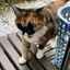 なすのプロフィール画像