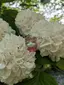 mrnのプロフィール画像