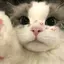 しーちゃんのプロフィール画像