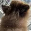 そらまめのプロフィール画像
