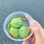 ぶーのプロフィール画像