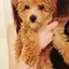 amiのプロフィール画像