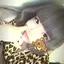 hiiのプロフィール画像