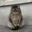 nのプロフィール画像