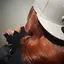なのプロフィール画像