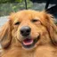 かれんのプロフィール画像