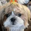 りなのプロフィール画像