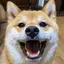 まぁのプロフィール画像