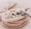 ぴょんすのプロフィール画像