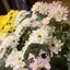翠。のプロフィール画像