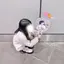 ゆきのプロフィール画像