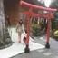 りらっくまのプロフィール画像